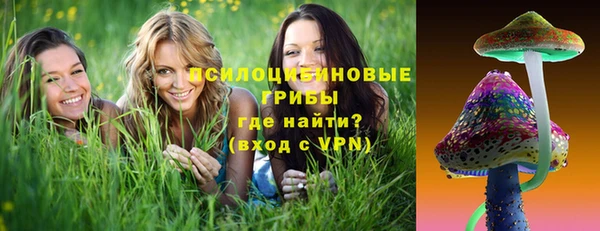 прущий лед Осташков