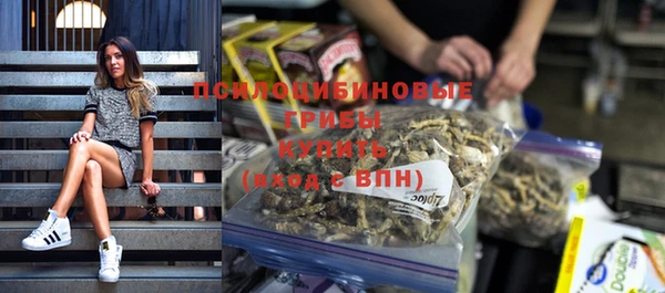 мет Осинники