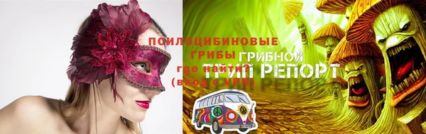 мет Осинники