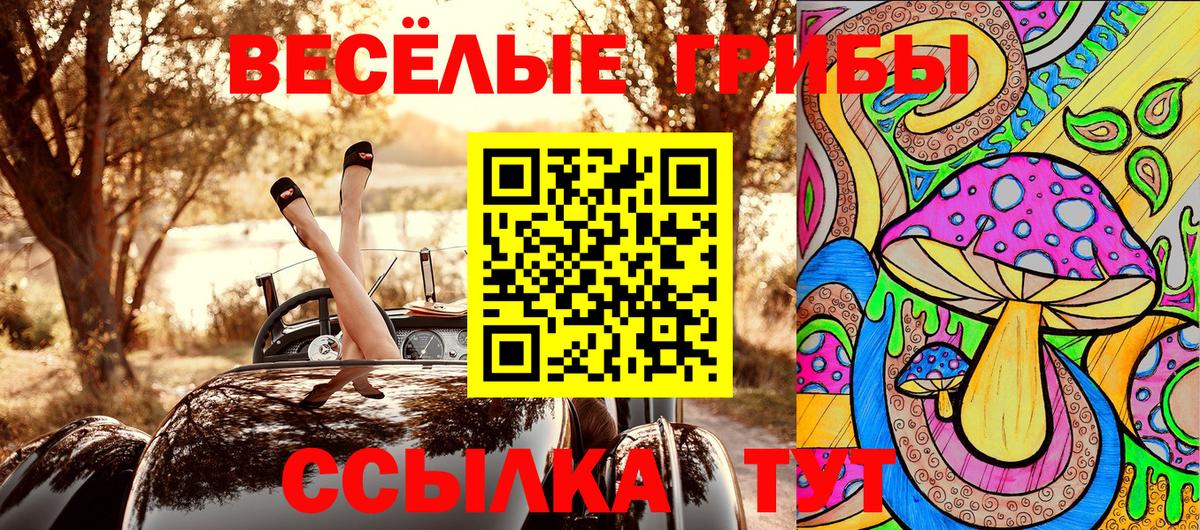 Галлюциногенные грибы GOLDEN TEACHER Энгельс
