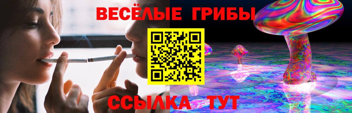 Энгельс  наркошоп  Галлюциногенные грибы мухоморы  Вход с VPN  Псилоцибиновые грибы Psilocybe 