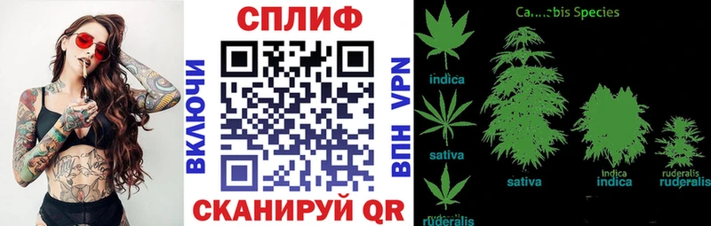 купить наркоту  Энгельс  Марихуана Ganja 